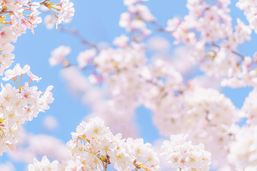 4月 | 寒暖差疲労が起こるメカニズム