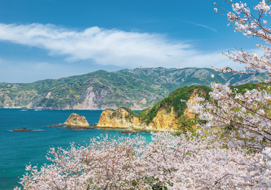 4月のコラム