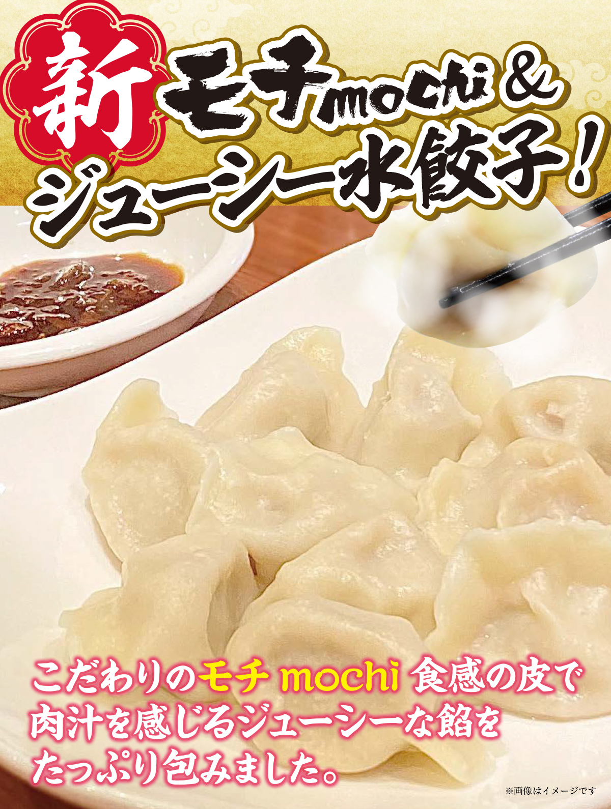 新モチmochi＆ジューシー水餃子【冷凍】 本当においしい水餃子 500g